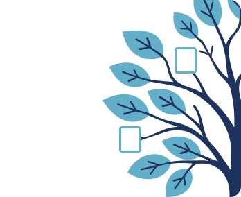 Create your Family Tree