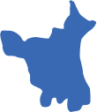 Haryana state distribution for NARENDER surname