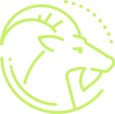 capricorn