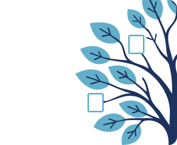 Create your Family Tree